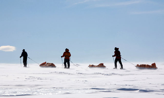 People on skis pull sleds.