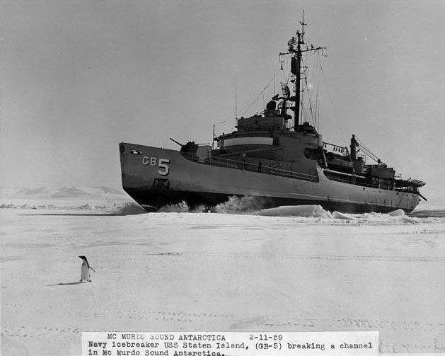 Ship in ice with penguin in foreground.