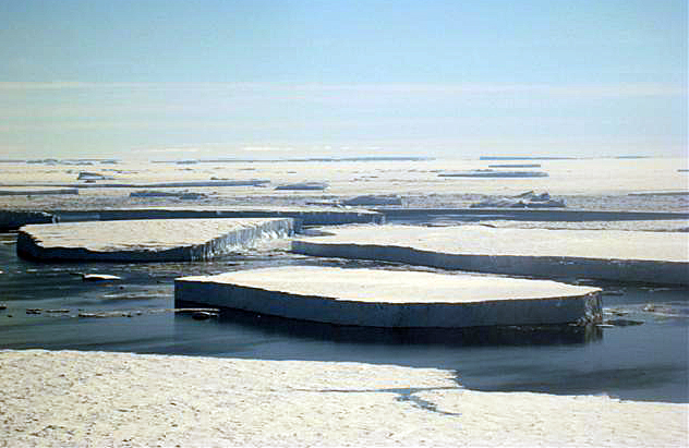 Icebergs in Pine Island Bay