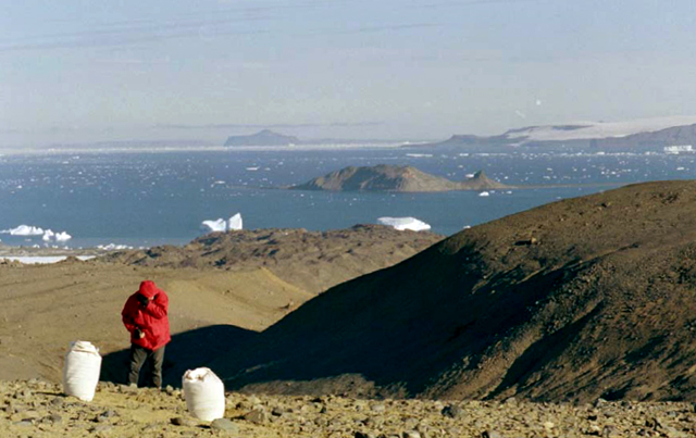 Vega Island, Antarctic Peninsula