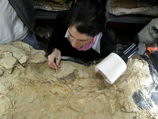 A woman works on a rock.