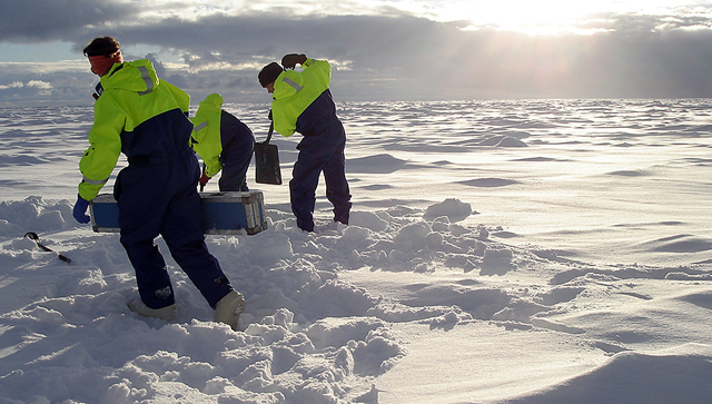 People use shovels to dig in snow.