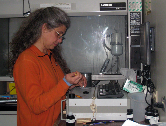 Maria Vernet at work in shipboard lab.