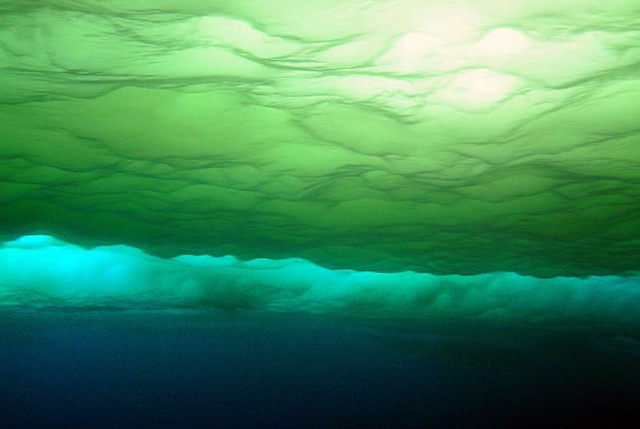 Green-colored ice seen under water.