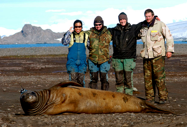 Cape Shirreff science team with Southern elephan seal.
