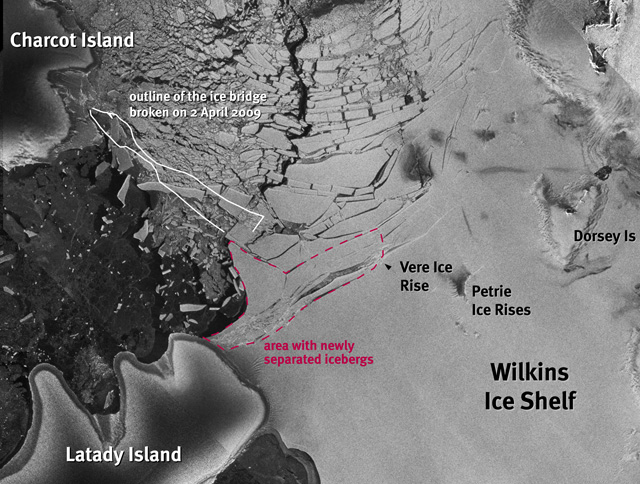 Satellite image of Wilkins Ice Shelf.