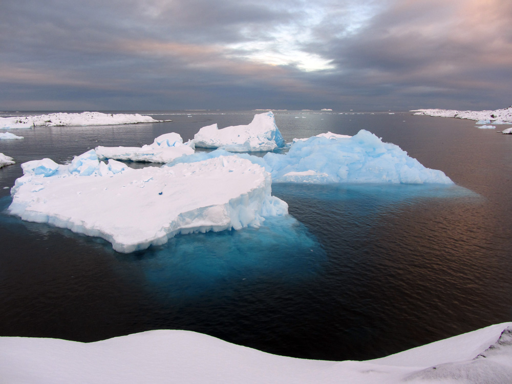 Icebergs drift at sea.