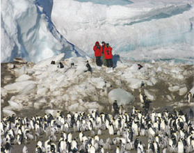 Researchers Amidst Penguins