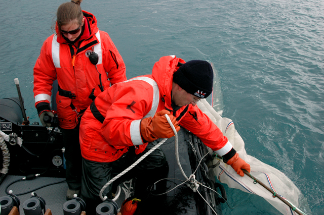 Scientists trawl for krill.