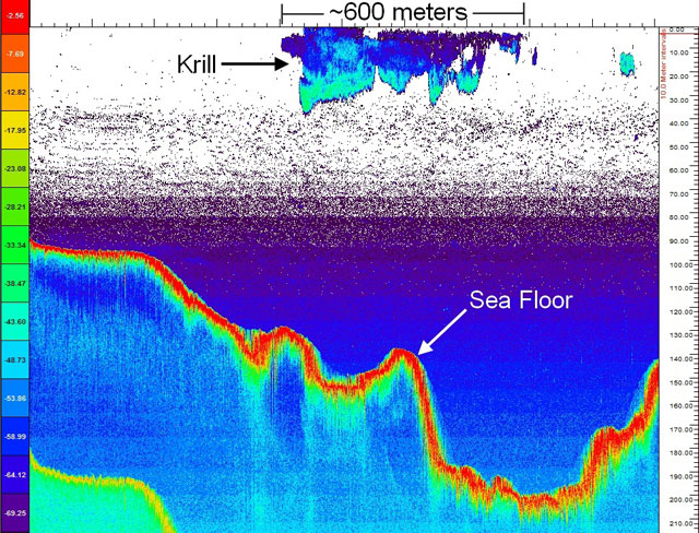Image of an echo sound at sea.