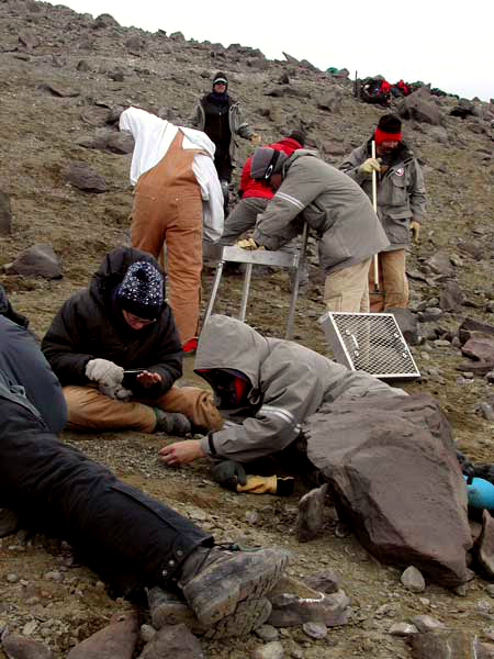 Scientists search for dinosaur fossils.
