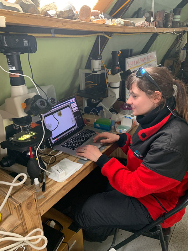 At the Lake Bonney field camp, Walman focuses her microscope in on several microorganisms collected at the nearby lake.