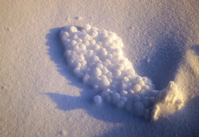 Naturally created frost balls fill in a footprint in the snow.