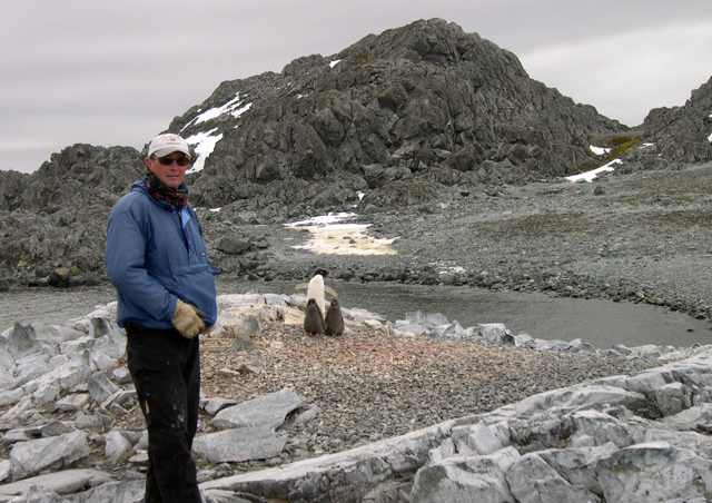 Man stands in front of penguins.