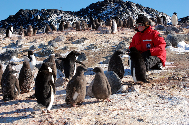 Woman sits down among penguins.
