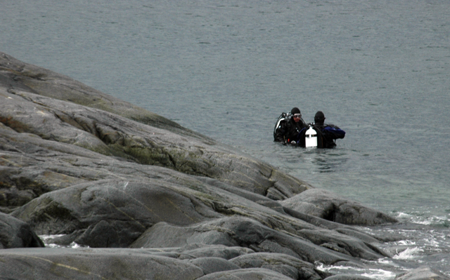 Divers in the water near Palmer Station.