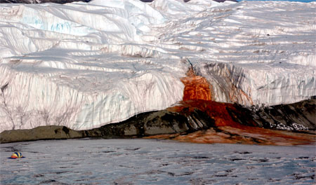 Red-stained glacier face.