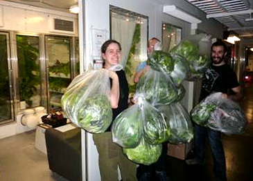 People carry plastic bags of produce.