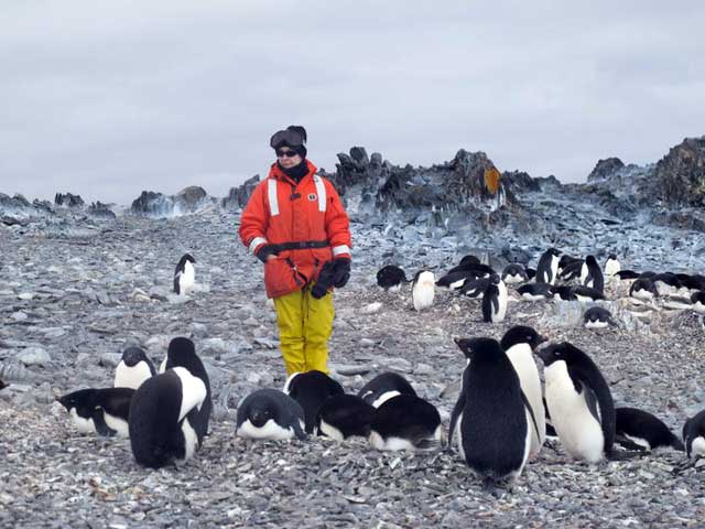 Person stands among penguins.