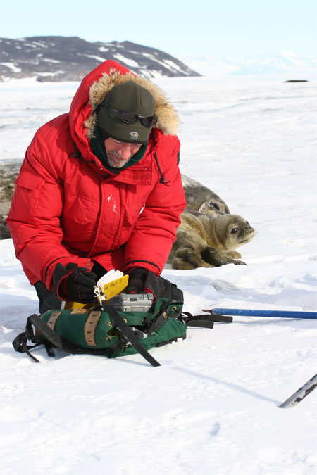 Man rummages through backkpack with seals in background.