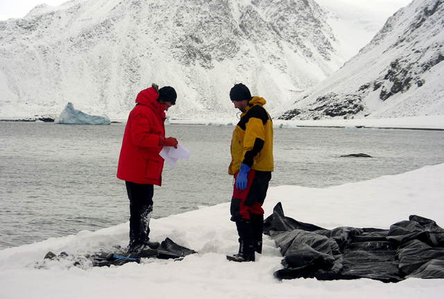 Scientists stand near a black tarp.