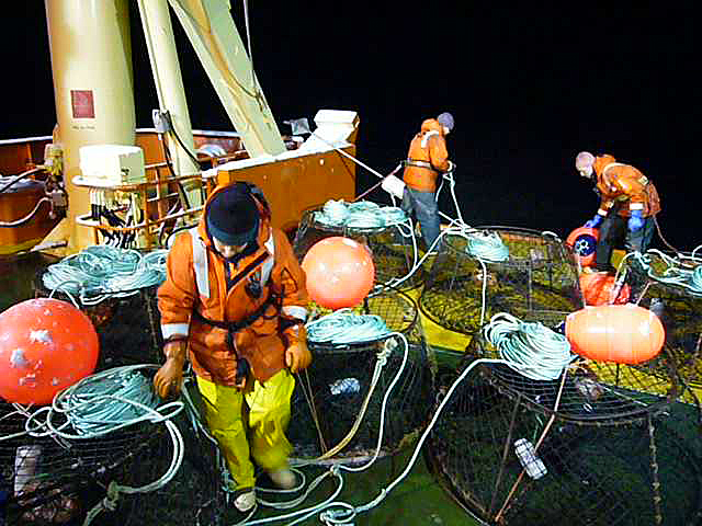 Scientists prepare fish traps on a ship.