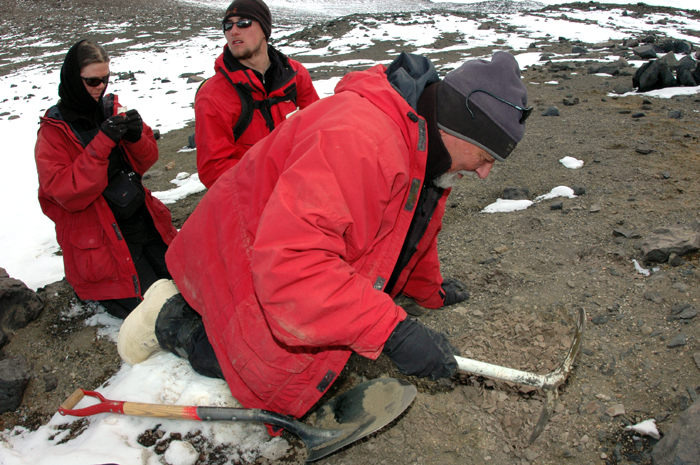 Scientists dig for fossils in the Dry Valleys.