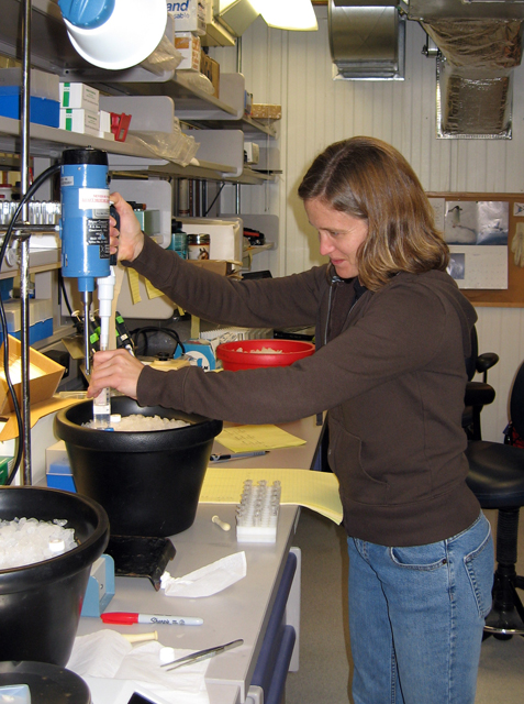 Megan O'Neill conducts an experiment.