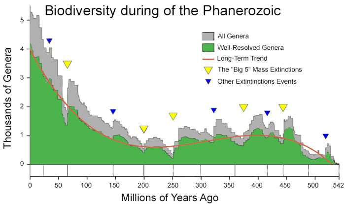 Graph of species and extinctions over 500 million years.