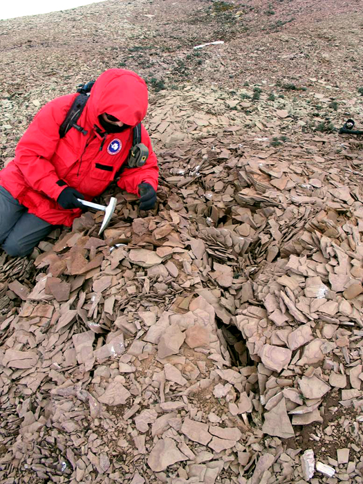 Researcher picks through rock for mammal fossils.