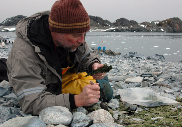 Richard Lee collecting bugs on Torgersen Island.