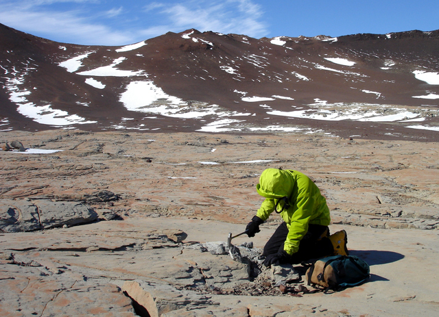 Christian Sidor collects rocks in the Allan Hills.