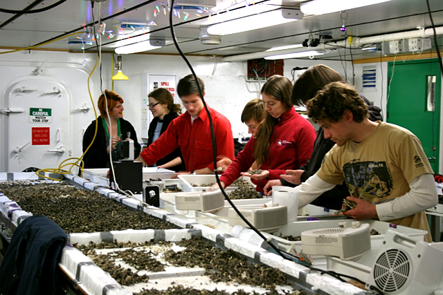 People sorting coral bits in a room.