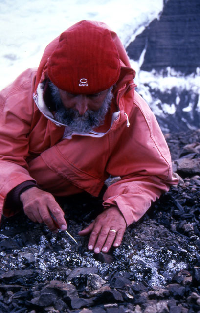 Person in winter clothes digs in ground.