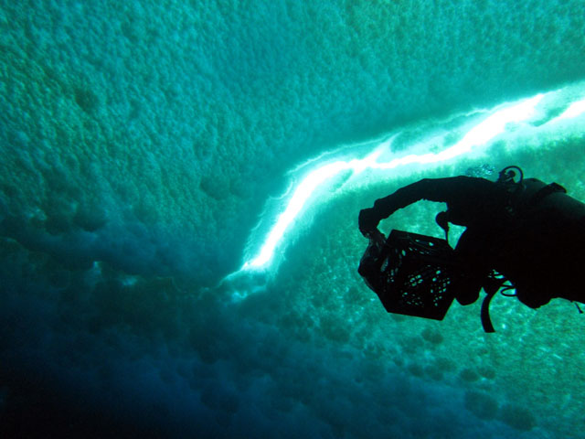 Diver ascends toward ice surface.