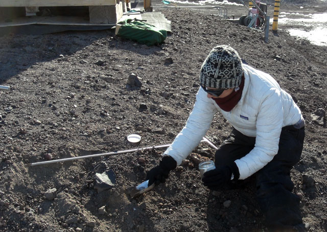 Person digs in the dirt.