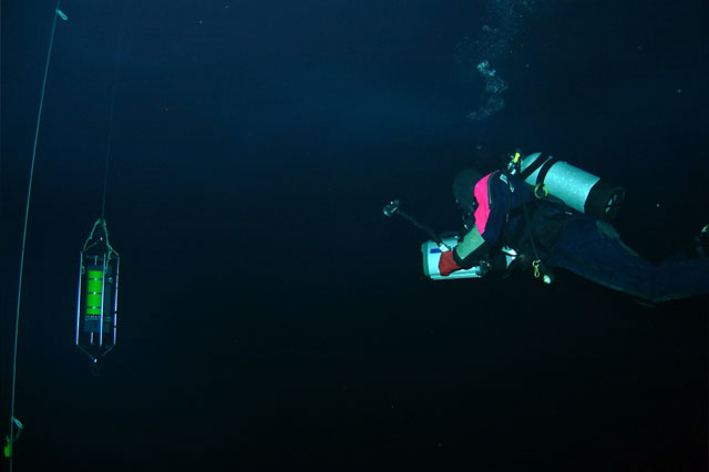 Diver swims toward instrument hanging in the water.