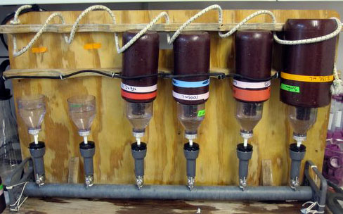 Bottles attached to a wood board with tubes.