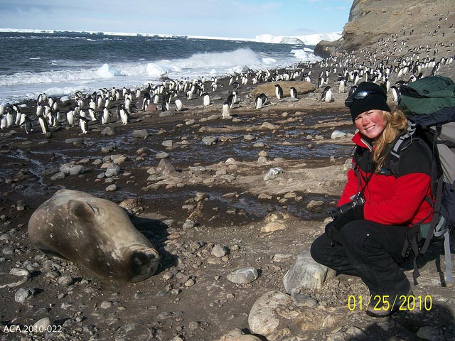 Person squats near seal and penguins.