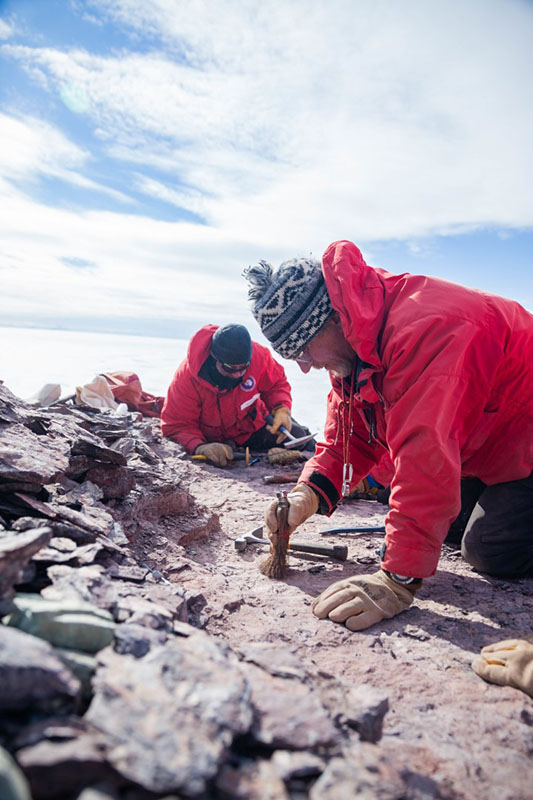 John Long (foreground) and Neil Shubin dig into a section of exposed rock, hunting for fossils.