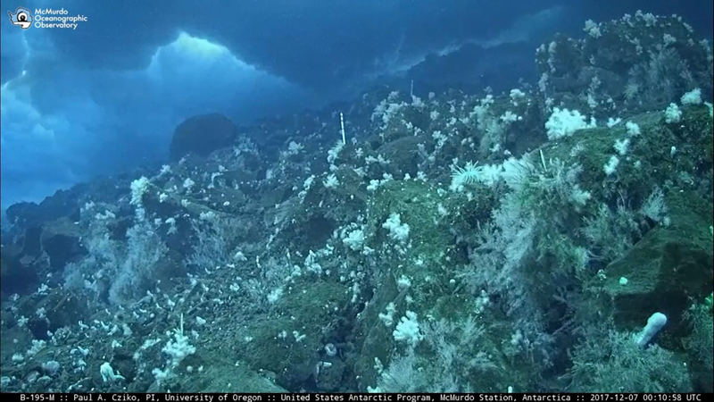 The camera captures live images from the sea floor near the station