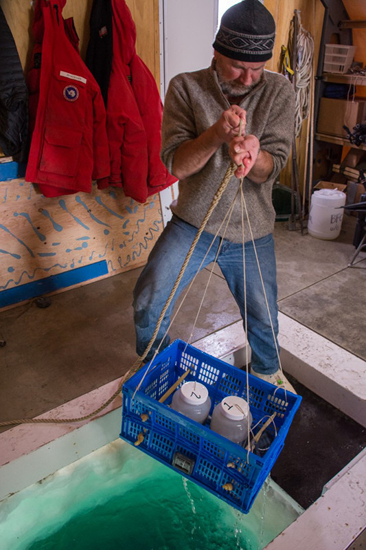 Michael Koonce hauls up a load of seafloor sediment. The researchers will sift out the foraminifera and study how they make their shells by binding sand grains together.