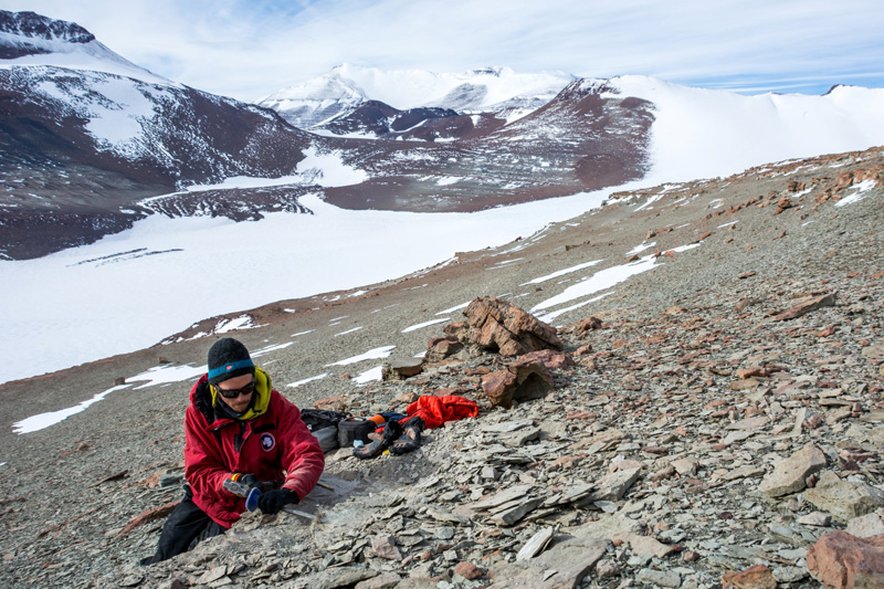 Paleontologist Hank Woolley digs for fossils on the side of Collinson Ridge in the Transantarctic Mountains