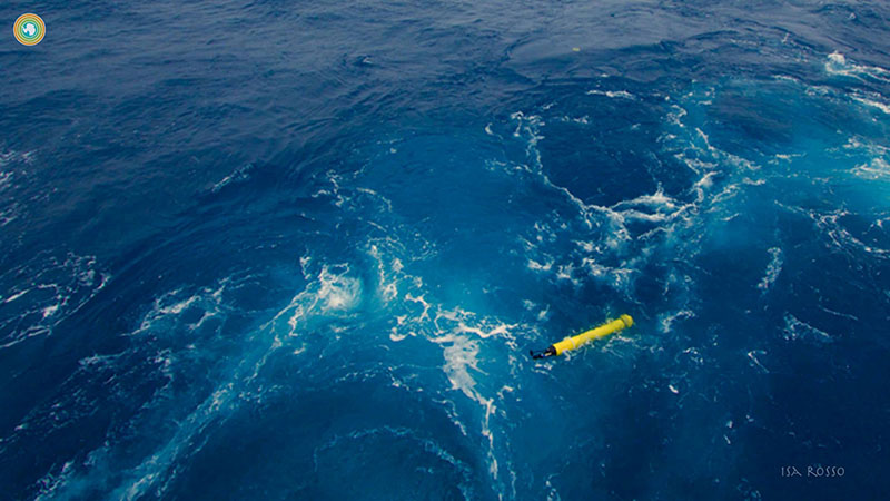 Each SOCCOM float is designed to drift in the ocean and collect data for five years