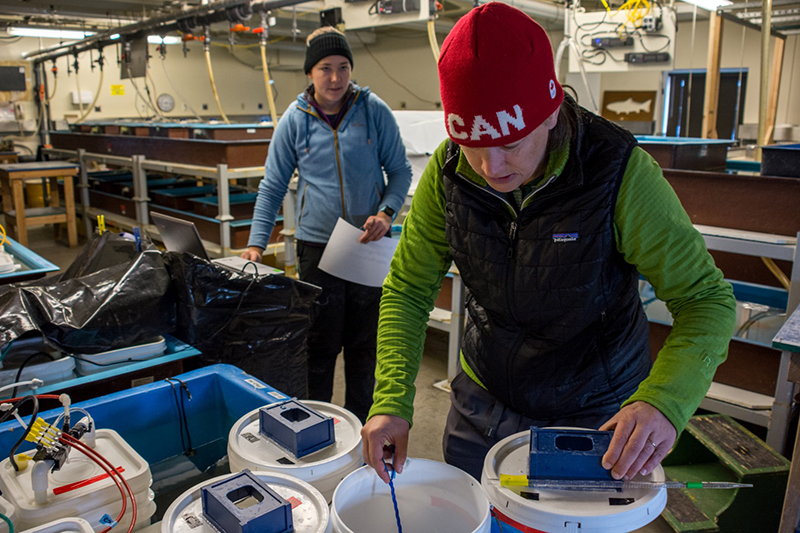 Anne Todgham (right) and Mandy Frazier tend to the fish in McMurdo Station's Crary laboratory.