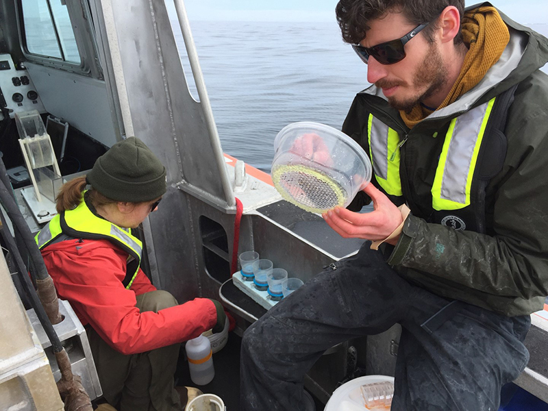 Researcher Jack Conroy (right) and technician Leigh West analyze some of the zooplankton they caught