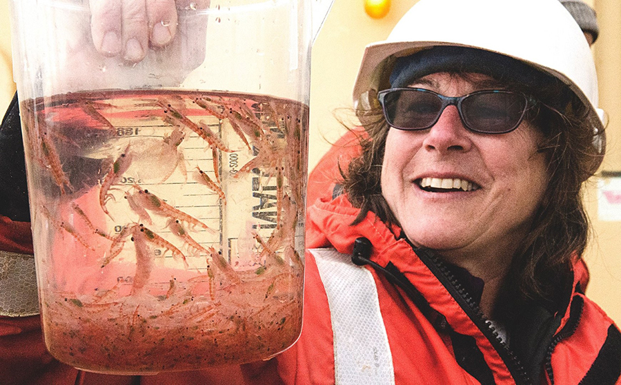 Researcher Deborah Steinberg holds up a beaker of krill