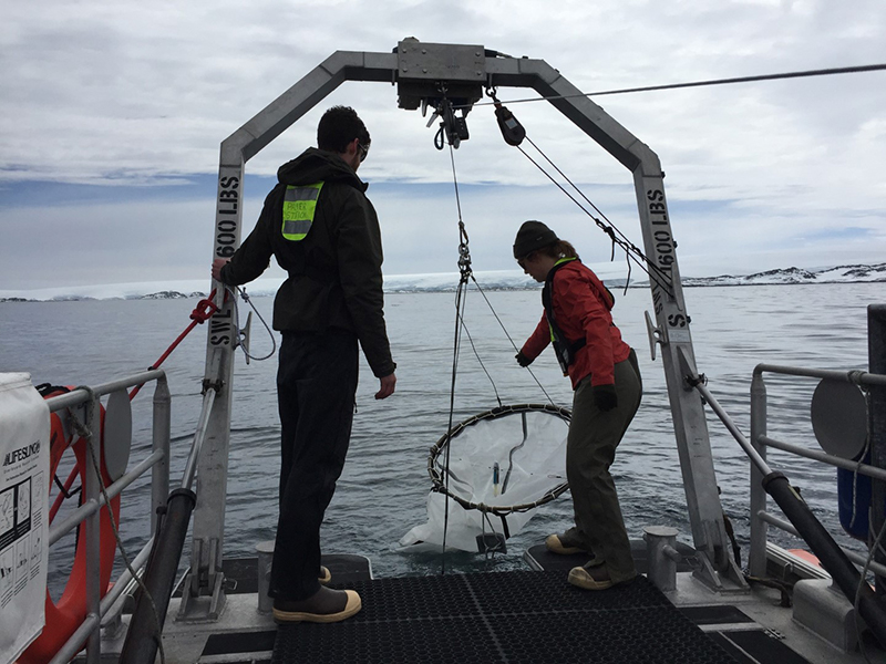 Researcher Jack Conroy (left) and technician Leigh West deploy a net off the back of one of the RHIBs