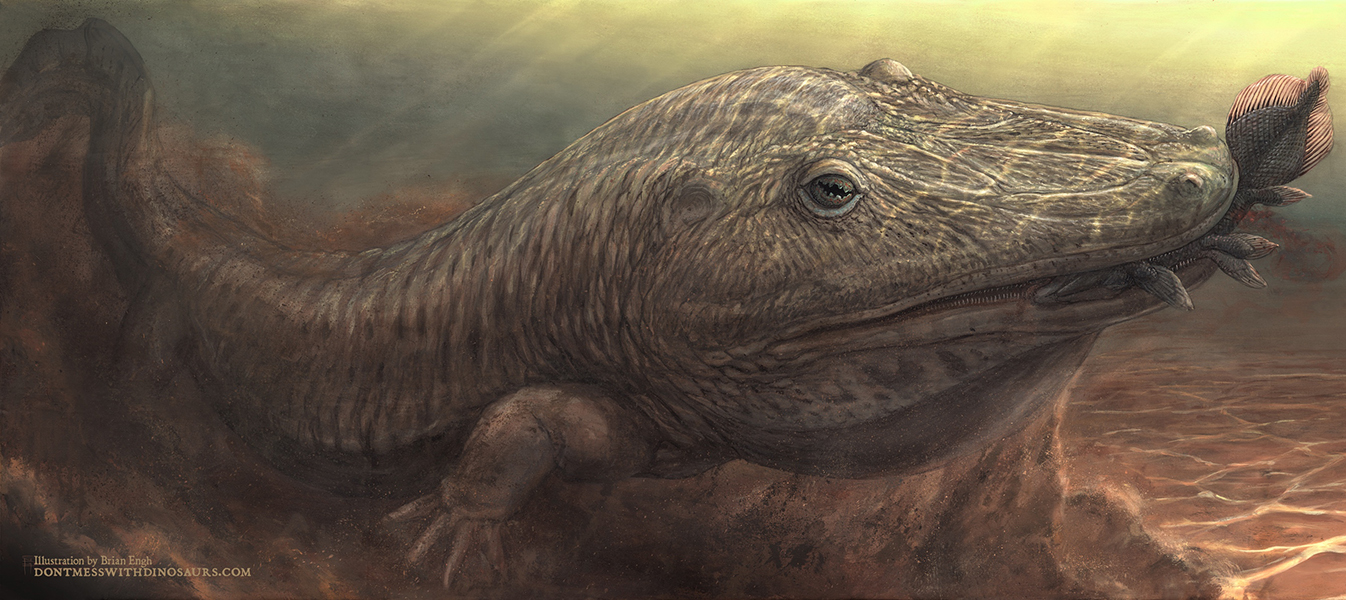 An artist's rendering of an extinct amphibian known as Antarctosuchus polyodon
