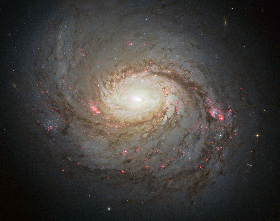 An image of spiral galaxy NGC 1068